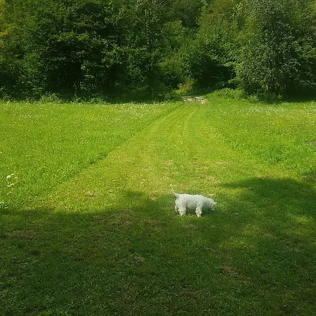 Utrinek Natura